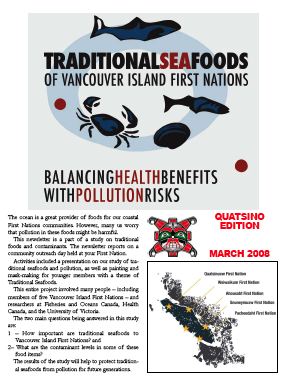 cover image for report 2008