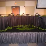table with cedar decorations