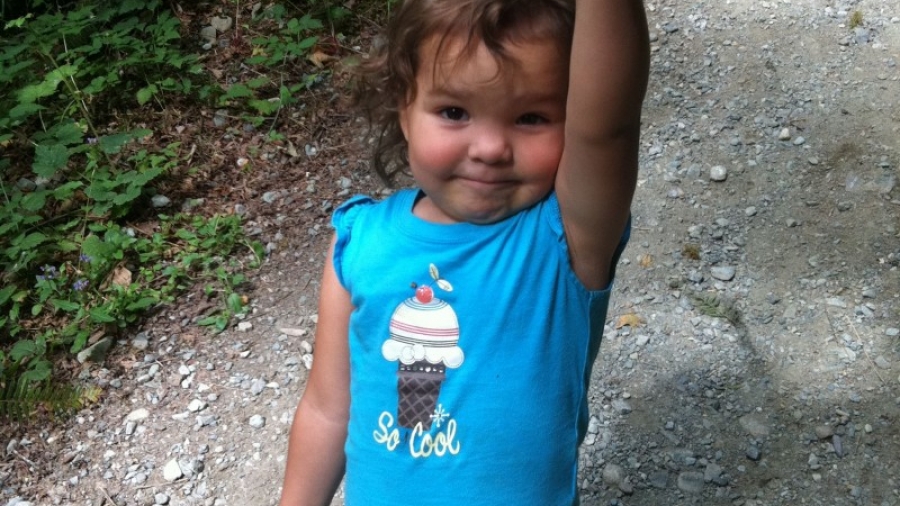Picking huckleberries
