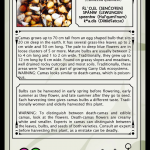 Example - Pacific Northwest Coastal Plant Knowledge Cards
